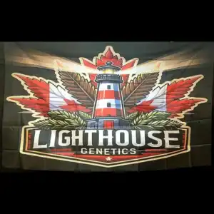 Lighthouse Genetics 4x6 silky flag with full-color logo